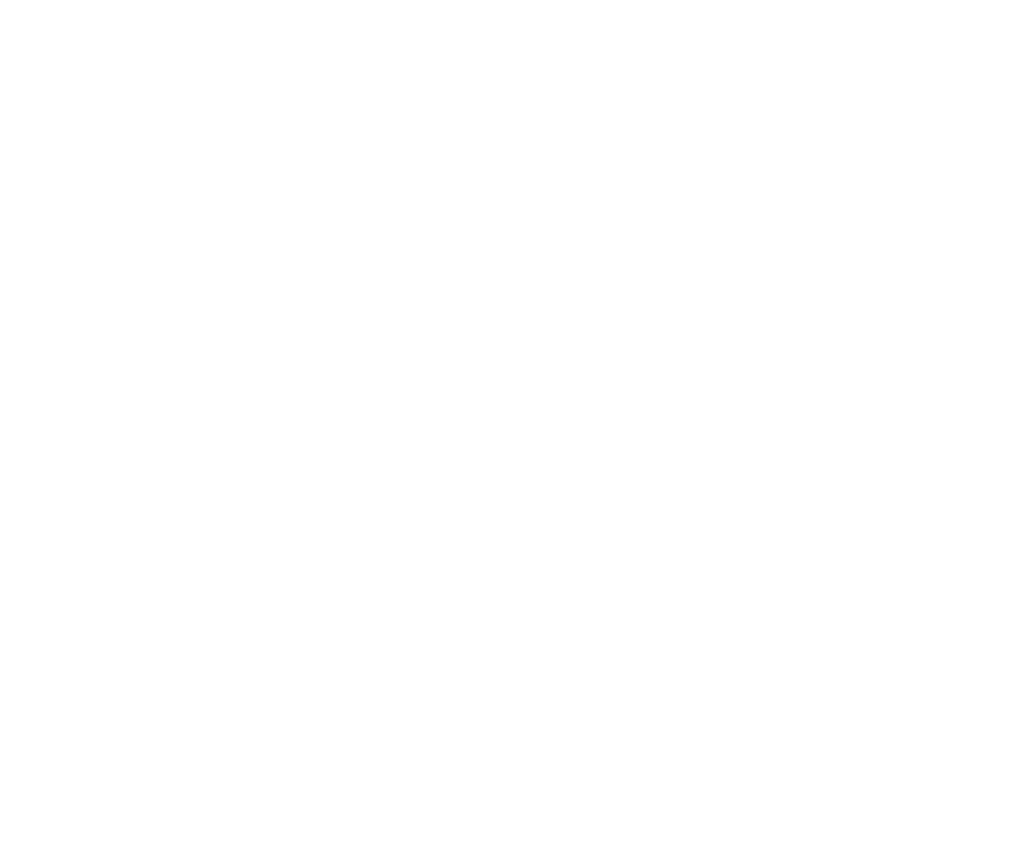 Copia de LOGO SKILL 2 EARN NEGATIVO